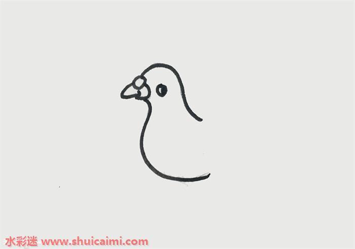 鸽子怎么画 鸽子简笔画画法