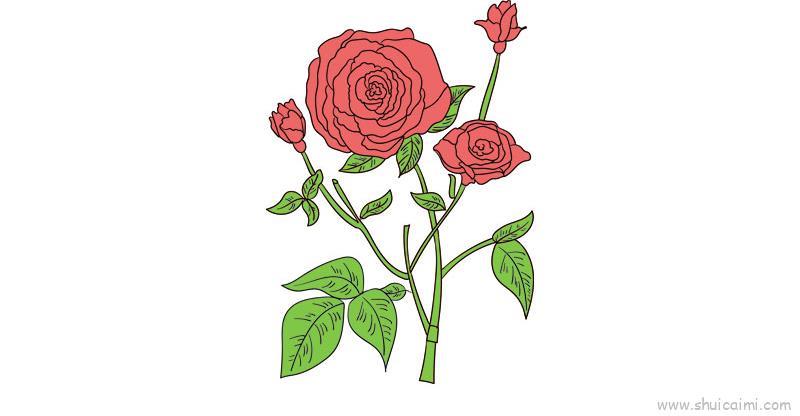 母亲节花教程儿童画怎么画 母亲节花教程简笔画画法