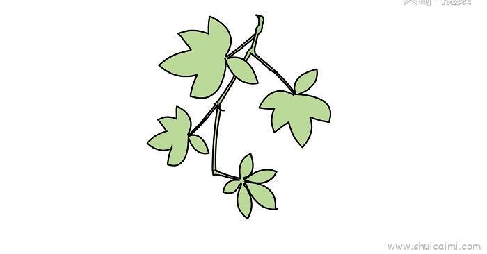 爬山虎儿童画怎么画 爬山虎简笔画简单