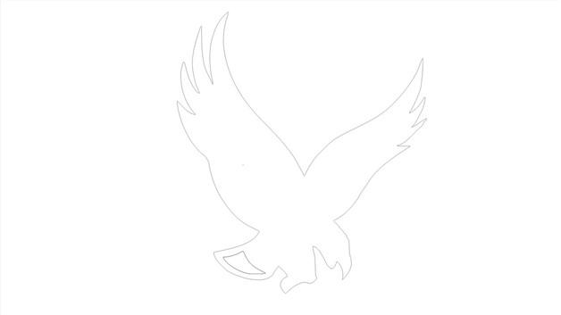 鹰简笔画怎么画 鹰简笔画画法