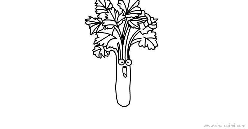 芹菜儿童画怎么画 芹菜简笔画图片