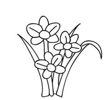 各种花简笔画图片大全 各种花简笔画图片大全大图