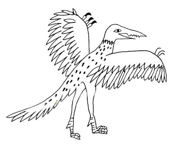 翼龙简笔画 翼龙简笔画幼儿园