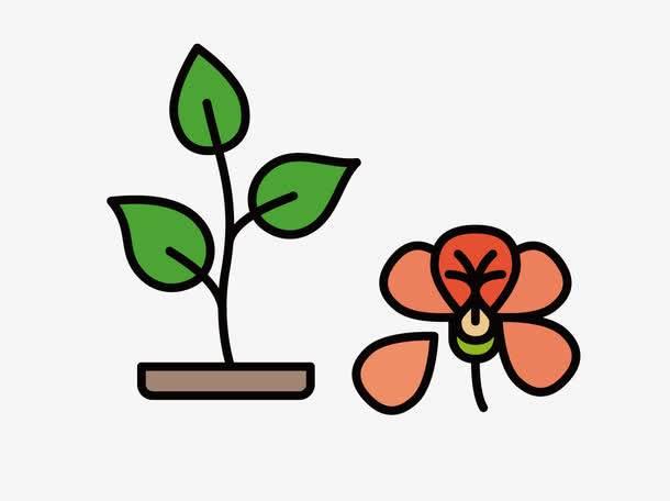 小树苗简笔画图片大全 小树苗简笔画图片大全彩色