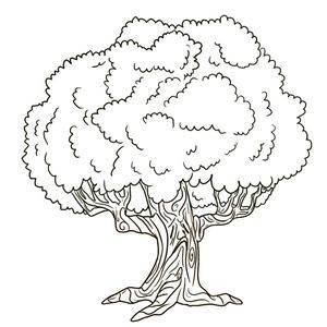 大树简笔画图片大全 大树简笔画图片大全大图