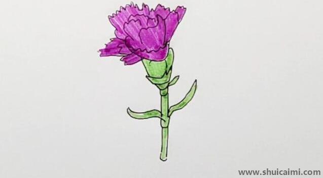 康乃馨儿童画怎么画 彩色康乃馨简笔画好看