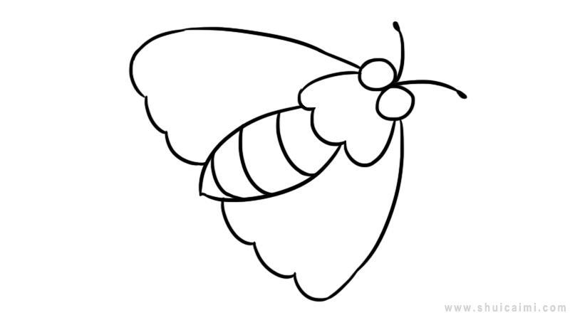 飞蛾简笔画怎么画 飞蛾简笔画画法