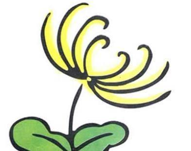 画菊花简笔画图片大全 画菊花简笔画图片大全一年级