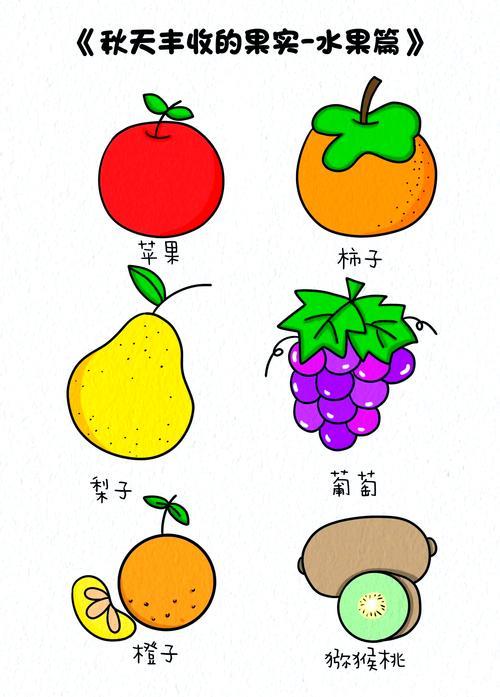 秋天的水果简笔画教程简单又好看