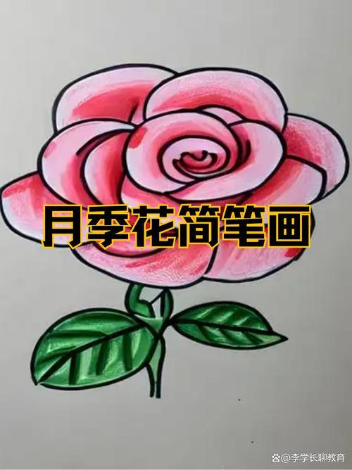 月季花简笔画