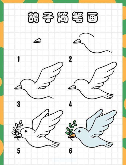 鸽子简笔画素材