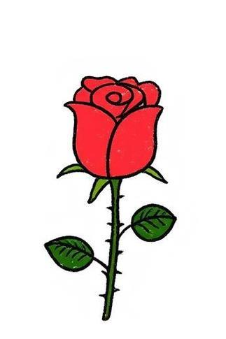 月季花的简笔画来啦