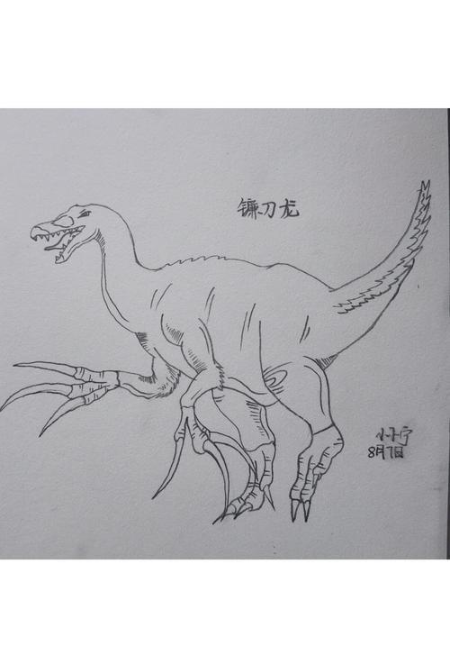 镰刀龙素描练习