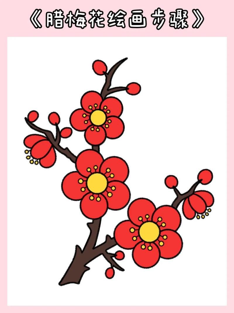 腊梅花简笔画绘画教程