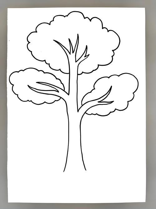 树干简笔画图片带颜色大树怎么画简单又好看怎么画大树大树画法画大树