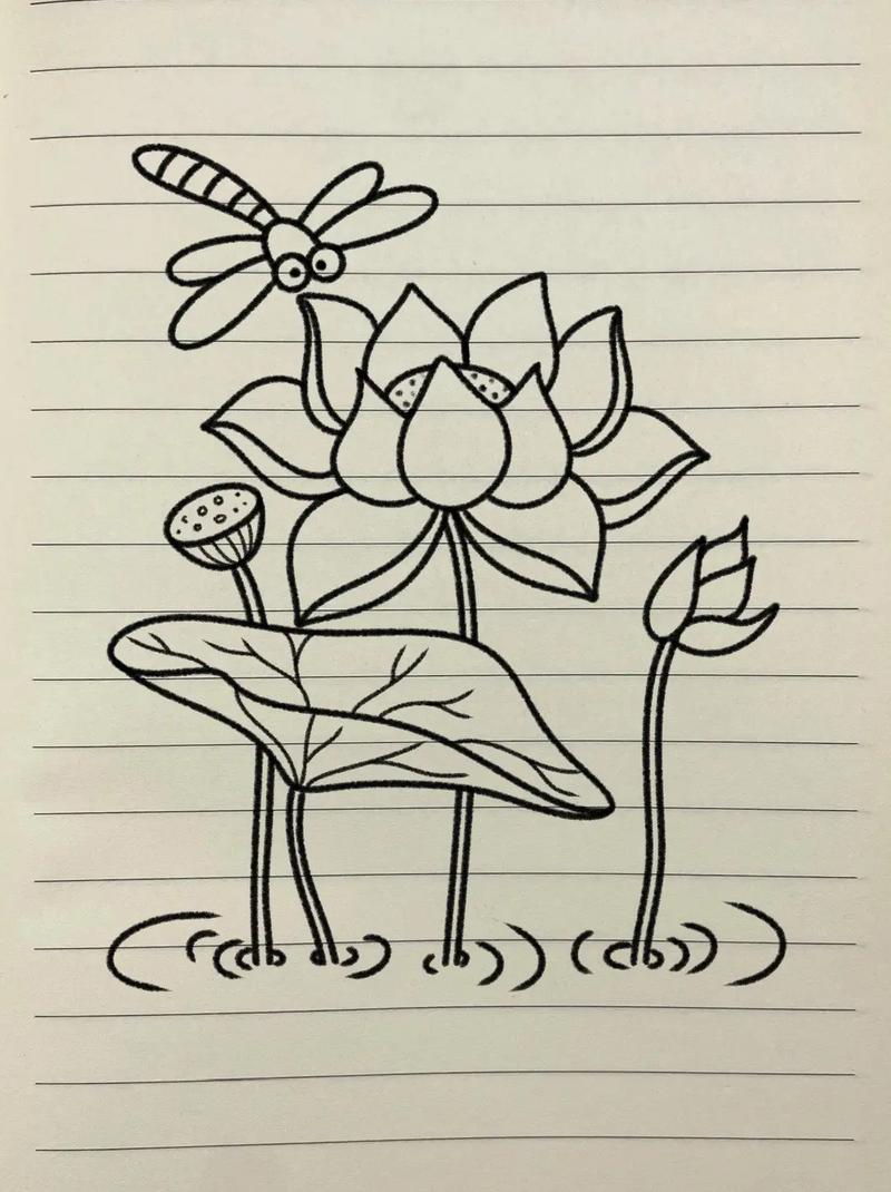 荷花简笔画