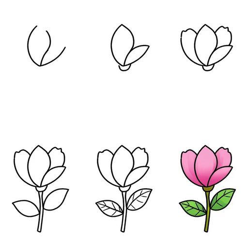 玉兰花简笔画来啦