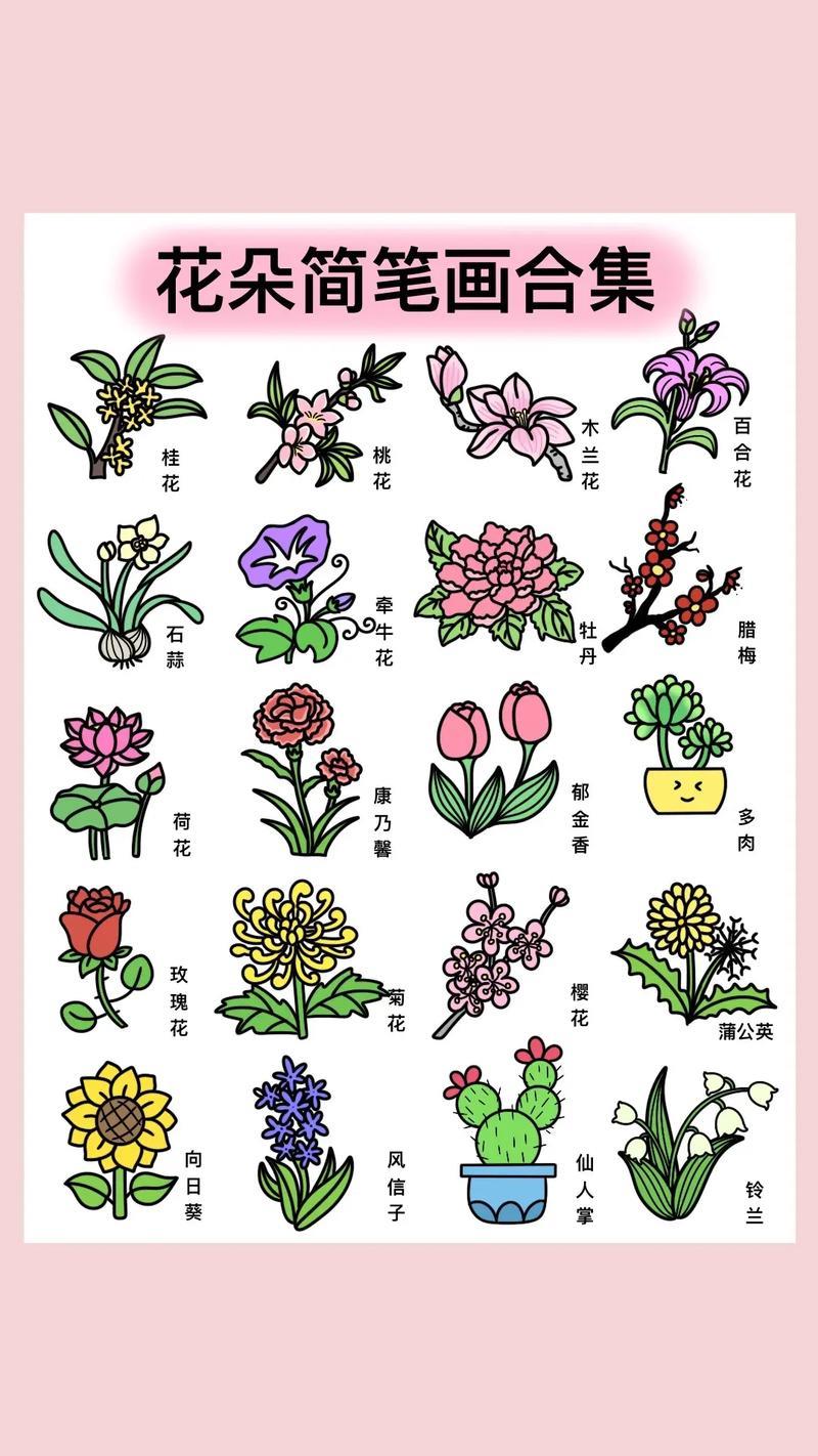 花朵简笔画大合集春天的浪漫鲜花占了一半整理了一组鲜花抖音