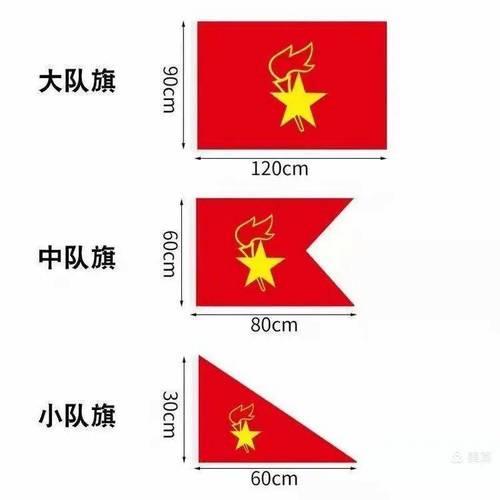接班人忻州市康乐小学一年级队前教育三队旗人民少先队员