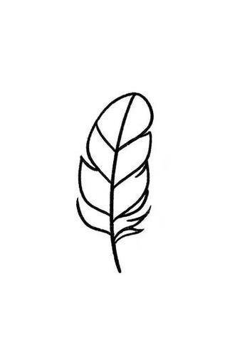 羽毛的简笔画