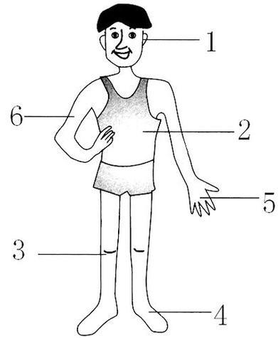 人体简笔画身体部位图简笔画孩子拿信封的小男孩简笔画幼儿身体器官简