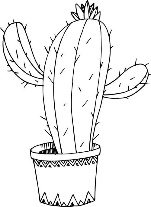 仙人掌简笔画一笔一划间藏着哪些不为人知的秘密