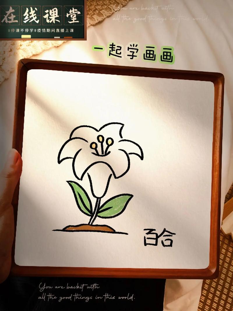每日儿童简笔画教程打卡百合花怎么画超级简单一学就会百抖音