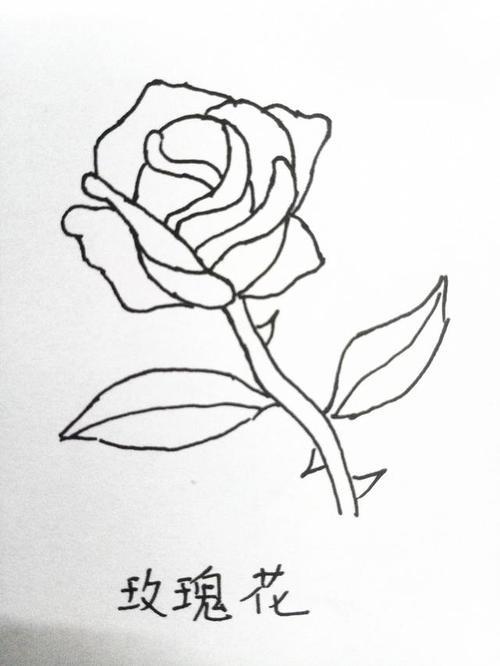 简笔画月季花的画法月季花的简笔画怎么画十种花的简笔画初学者