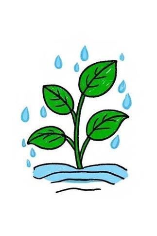 给植物浇水简笔画