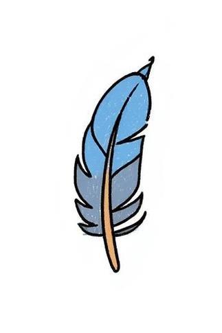 儿童简笔画羽毛