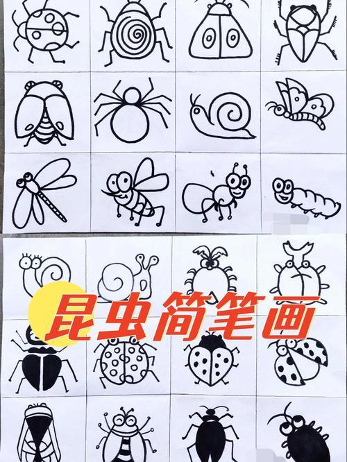 下面是一篇关于如何画昆虫的简笔画指导文章分为三个步骤并在文中
