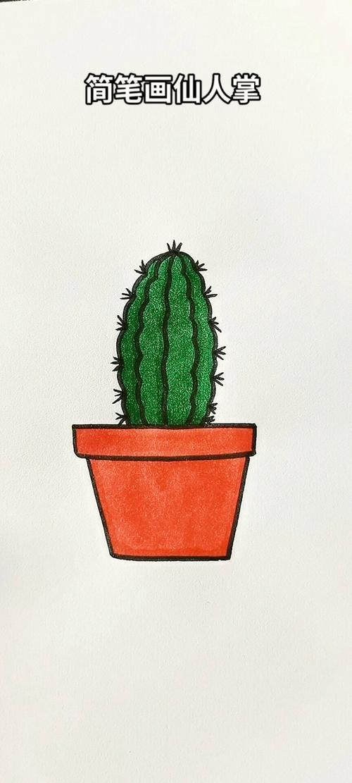 简笔画仙人掌简笔画简笔画教程