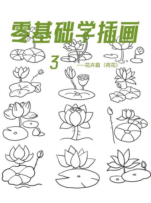 荷花主题绘画教程提升审美与创意