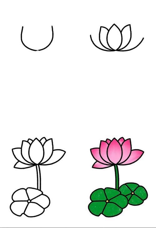 简笔画的荷花怎么画