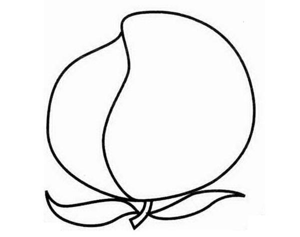 桃子怎么画简笔画