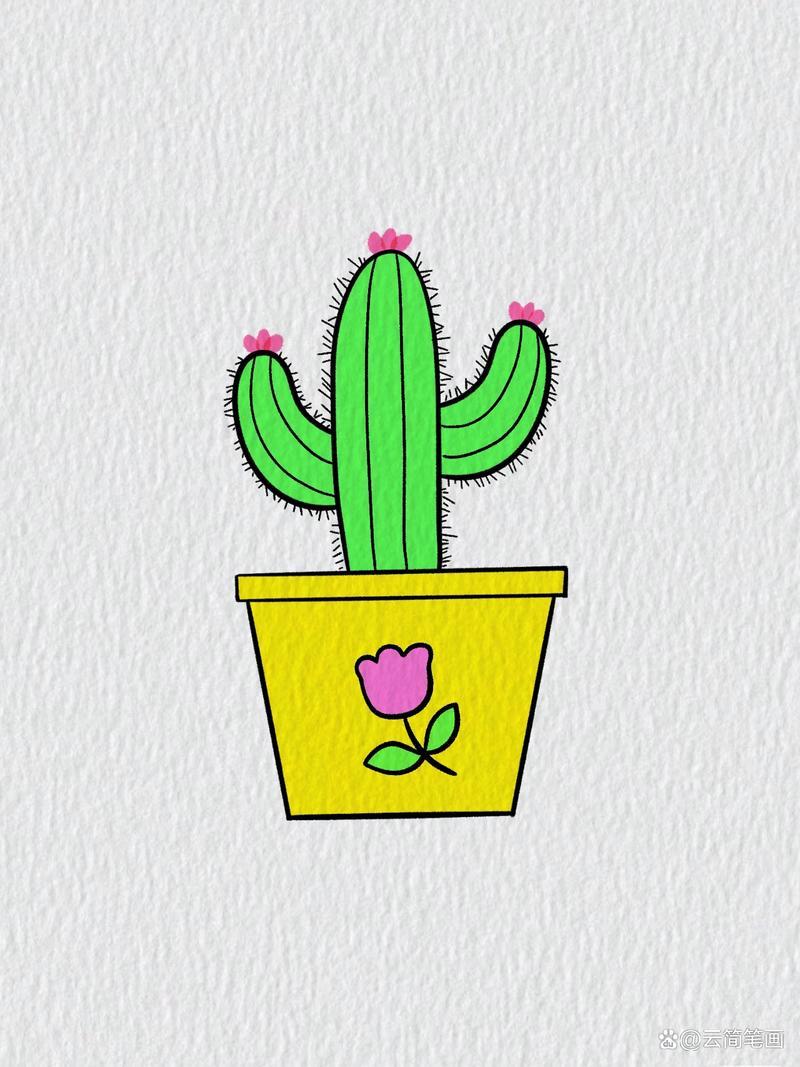 一盆仙人掌简笔画教程简笔画儿童画仙人掌绘画过程