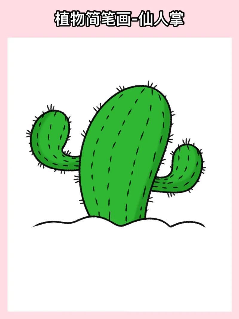 仙人掌简笔画附教程快来一起画可爱又简单的仙人掌简笔画吧抖音