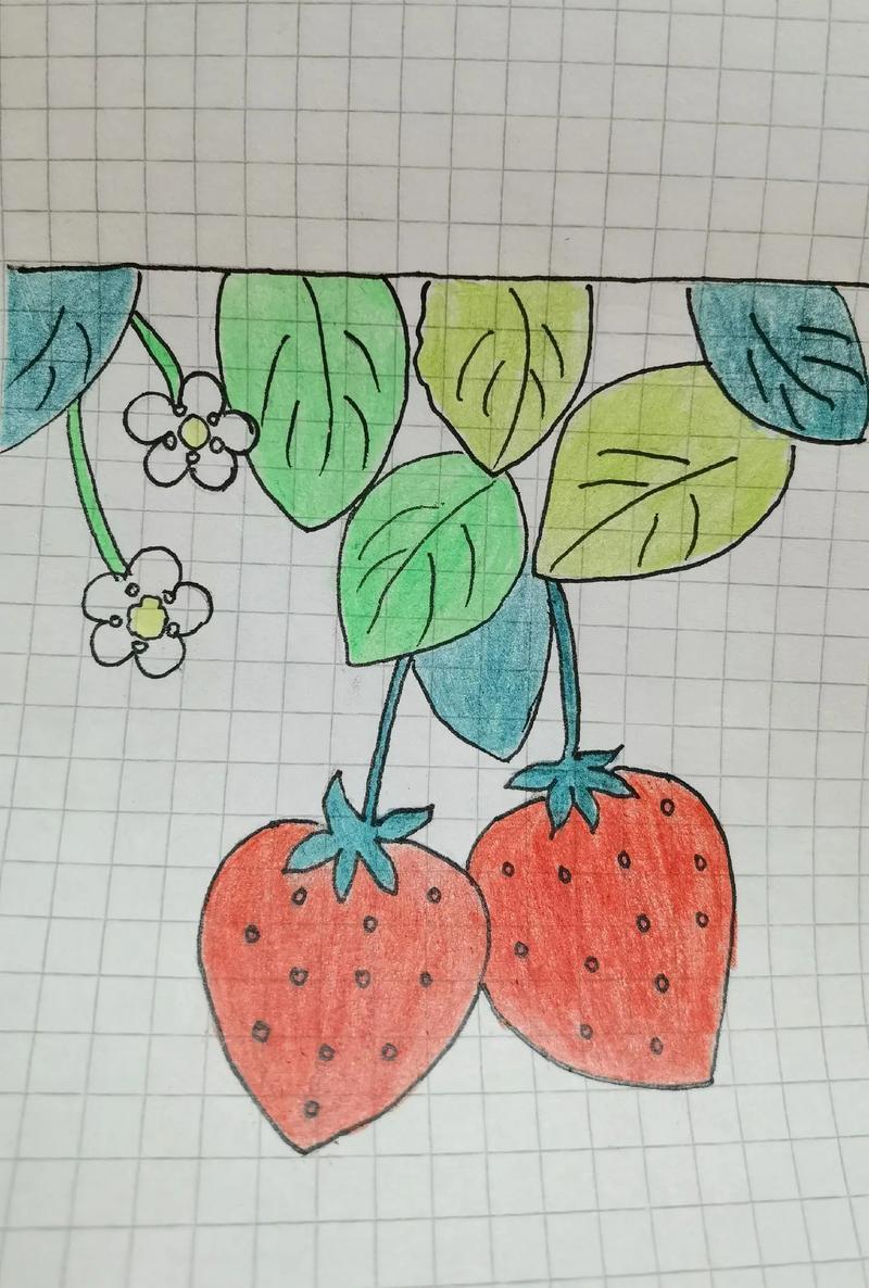 草莓熟了简笔画