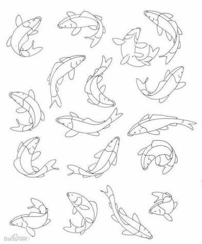 简笔画教程步骤鲤鱼分步骤