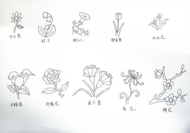 十种花的简笔画初学者简单实用