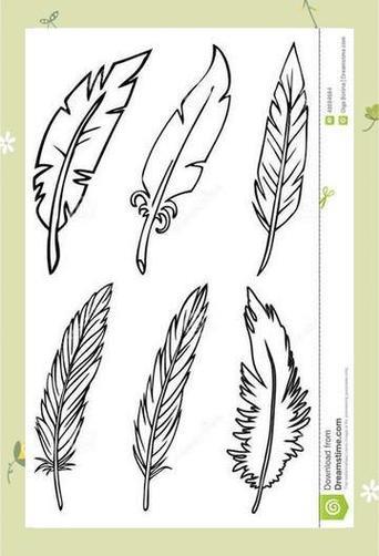 黑白简笔画羽毛教程