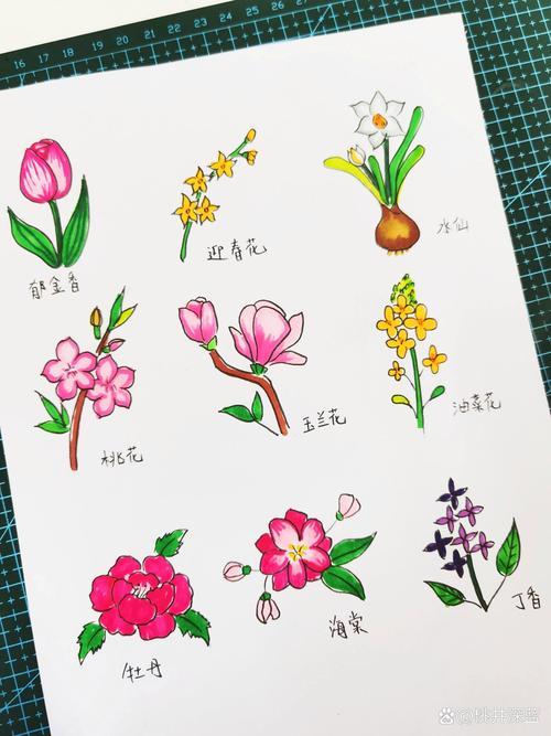 春天的花简笔画