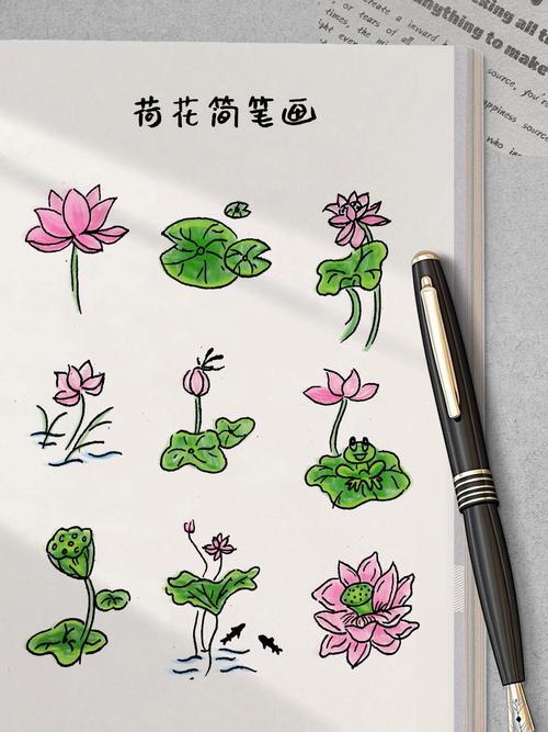 炎炎夏日荷花简笔画