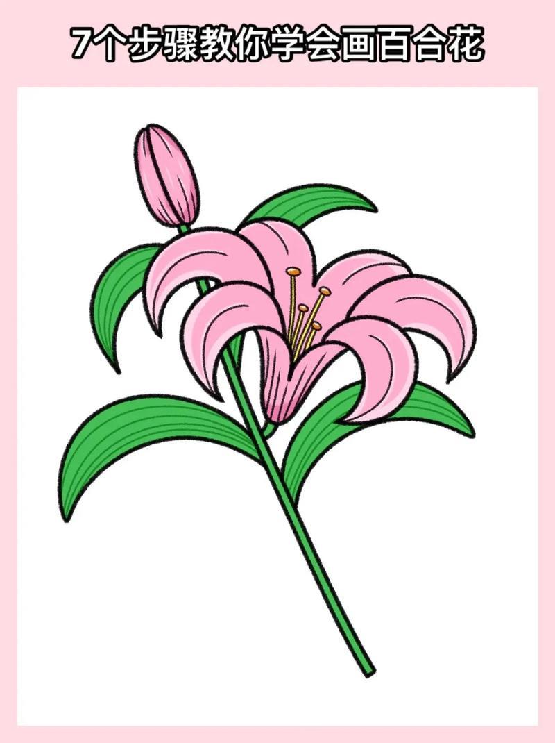 简单又好看的百合花简笔画教程
