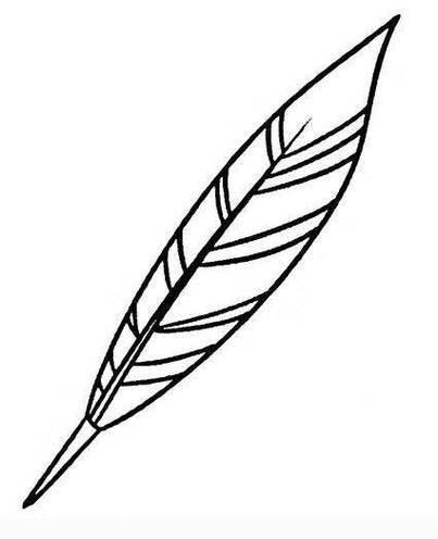 一根羽毛简笔画一根羽毛的绘画