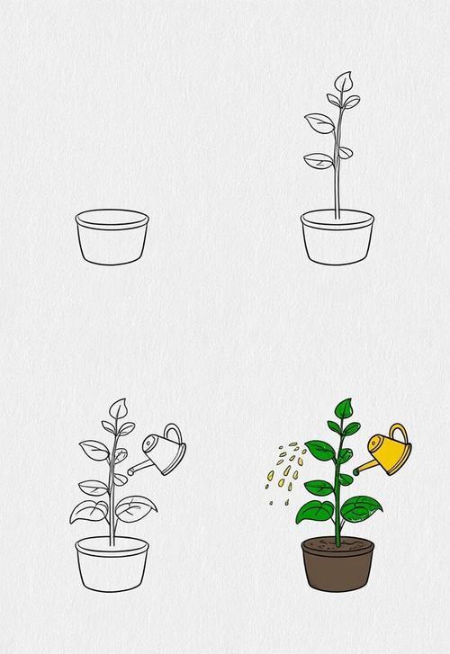 给植物浇水简笔画