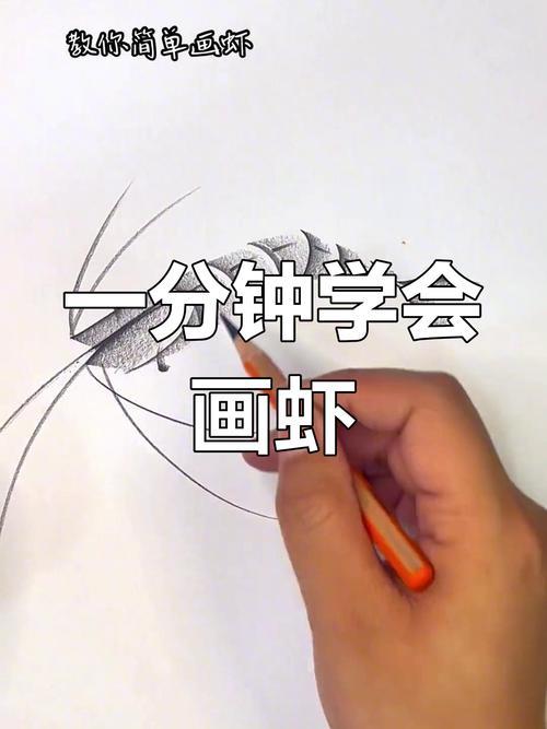 简单学画大虾轻松掌握简笔画