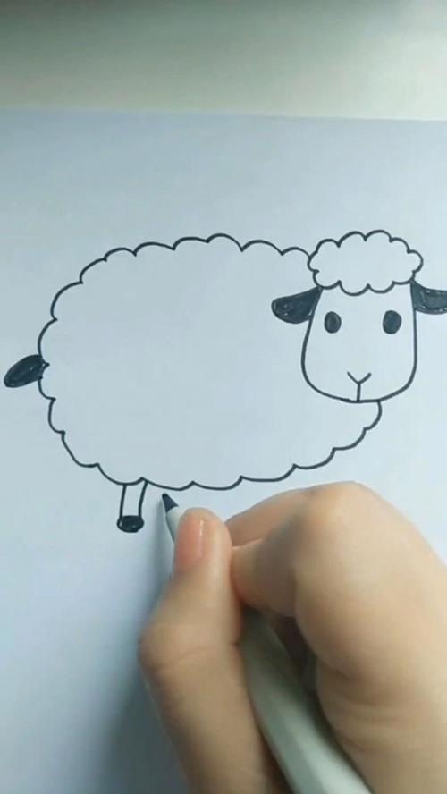 小绵羊简笔画喜欢的收藏