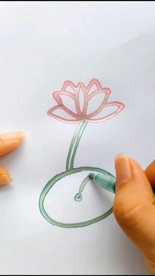 荷花简笔画有手都能学会