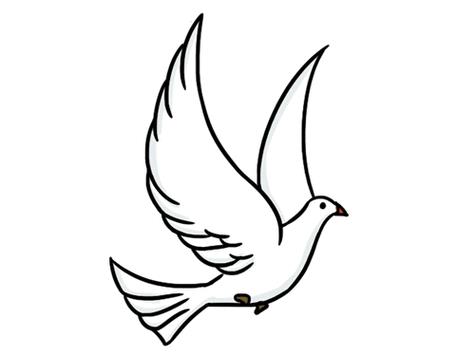 小鸽子简笔画怎么画小鸽子简笔画顺序动物简笔画和平鸽白鸽怎么画白鸽